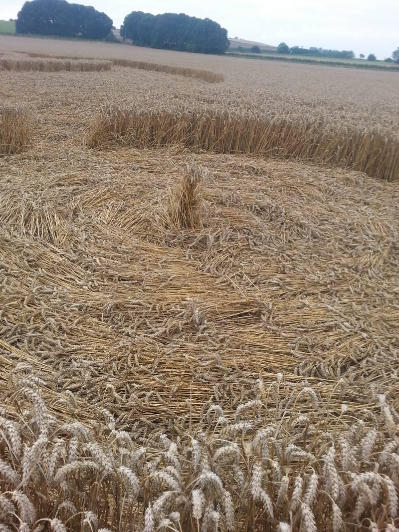 Cooks Plantation, Wiltshire crop circle, aerial photo 80