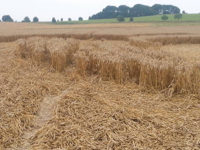 Cooks Plantation, Wiltshire crop circle, aerial photo 77