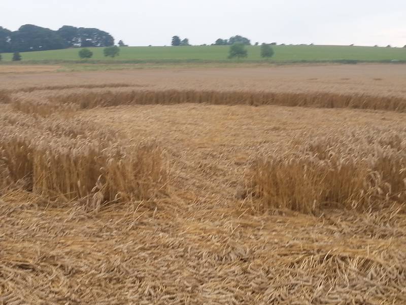 Cooks Plantation, Wiltshire crop circle, aerial photo 75
