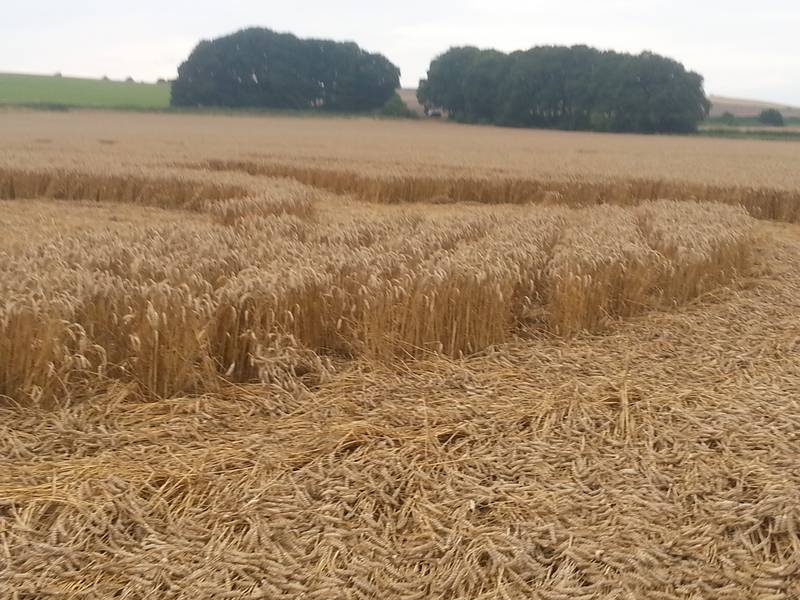 Cooks Plantation, Wiltshire crop circle, aerial photo 78