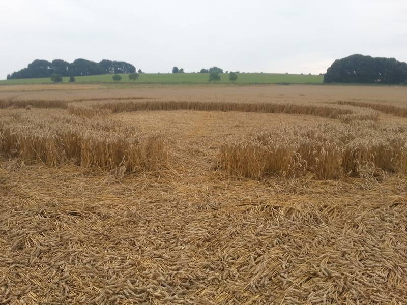 Cooks Plantation, Wiltshire crop circle, aerial photo 74