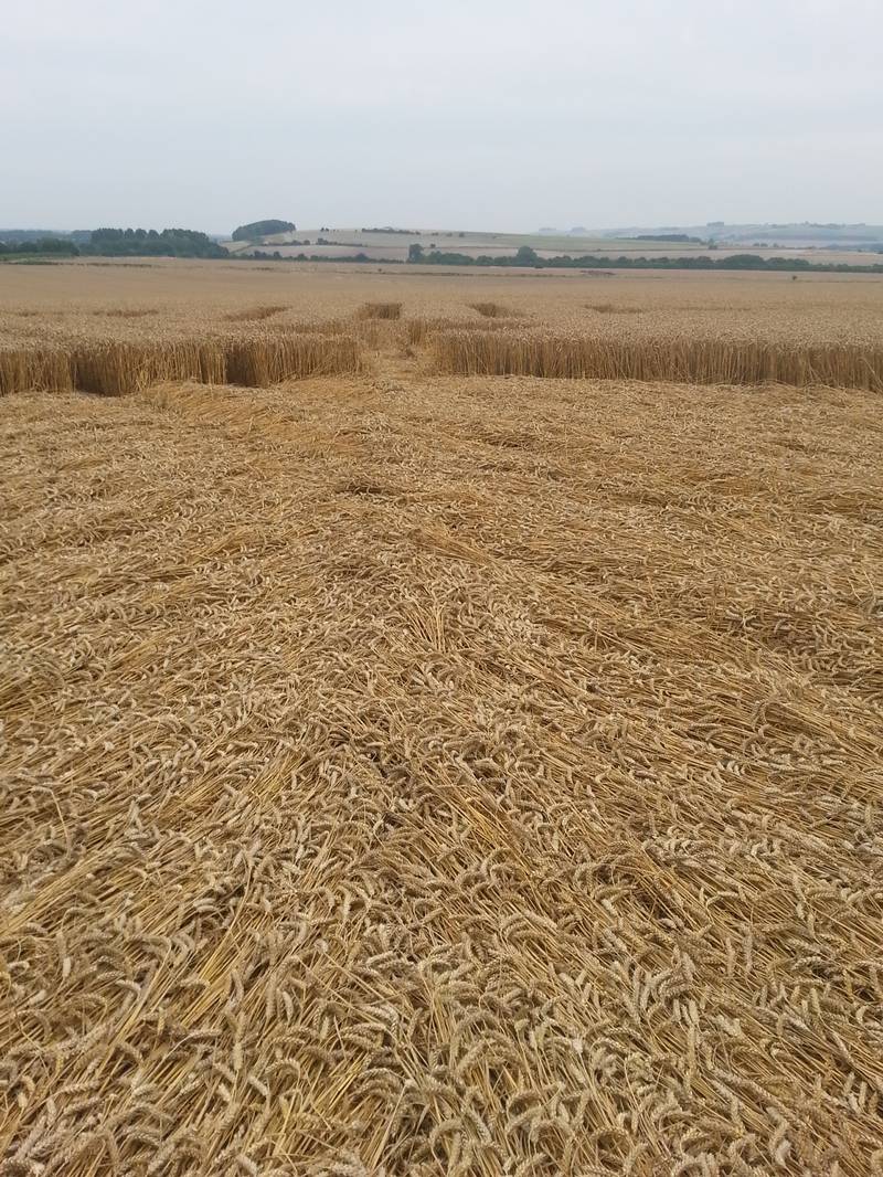 Cooks Plantation, Wiltshire crop circle, aerial photo 73