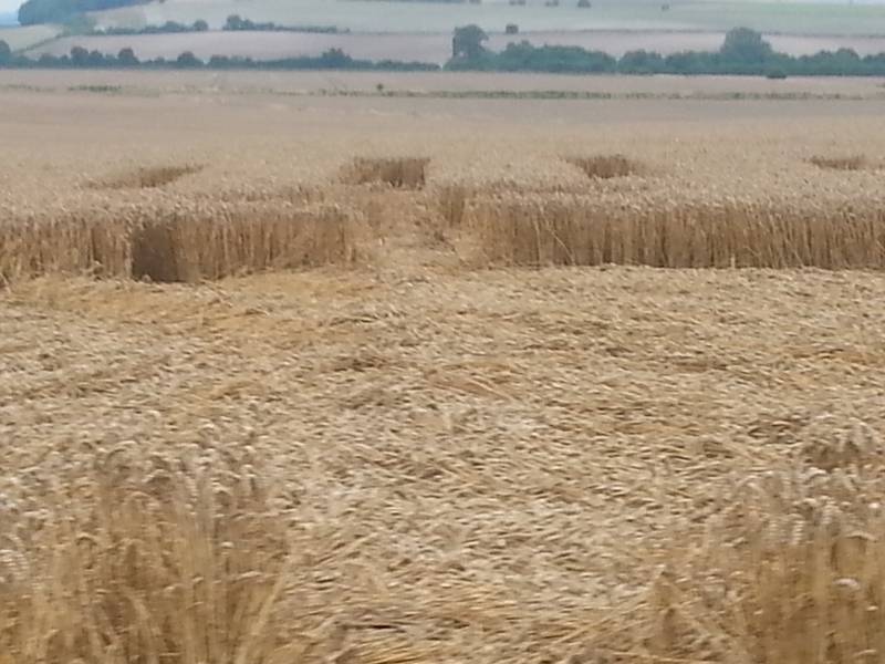 Cooks Plantation, Wiltshire crop circle, aerial photo 89