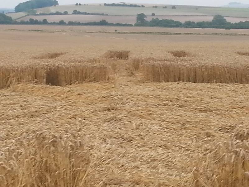 Cooks Plantation, Wiltshire crop circle, aerial photo 88