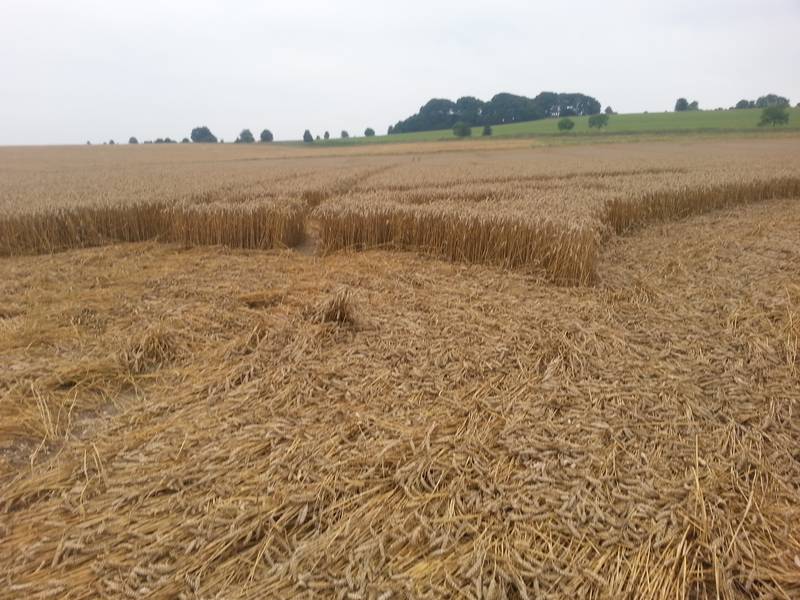 Cooks Plantation, Wiltshire crop circle, aerial photo 86