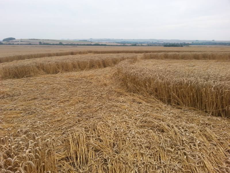 Cooks Plantation, Wiltshire crop circle, aerial photo 85