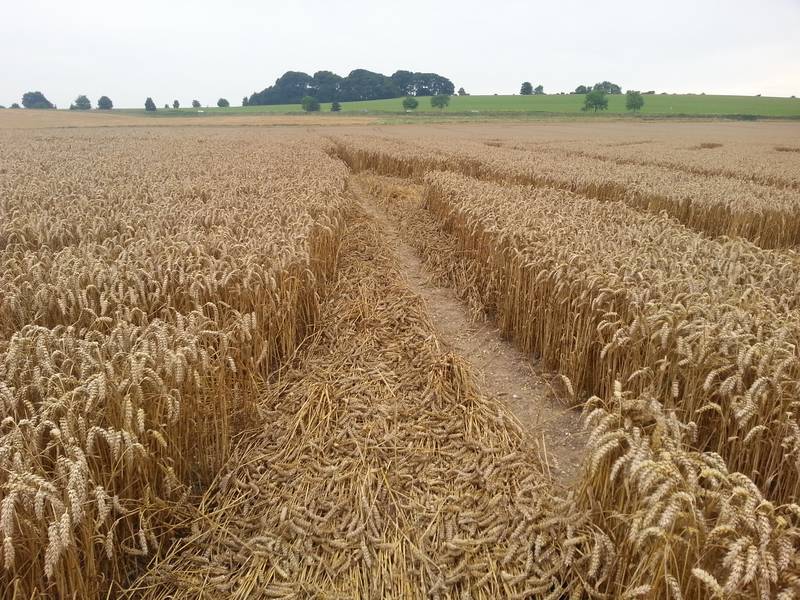 Cooks Plantation, Wiltshire crop circle, aerial photo 82