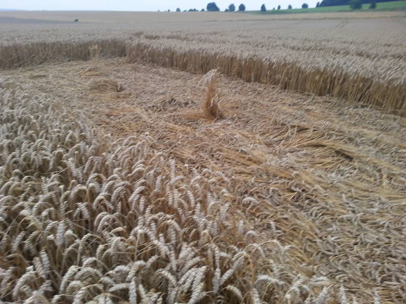 Cooks Plantation, Wiltshire crop circle, aerial photo 90