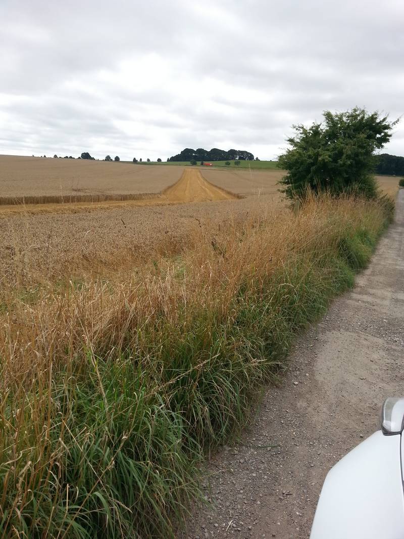 Cooks Plantation, Wiltshire crop circle, aerial photo 40
