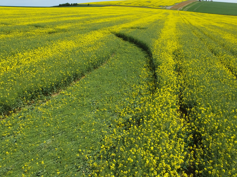 East Field, Wiltshire crop circle, aerial photo 29