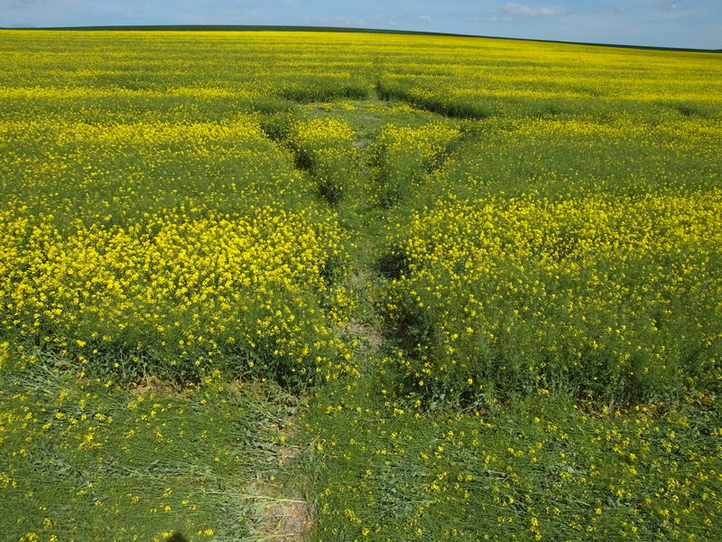 East Field, Wiltshire crop circle, aerial photo 34