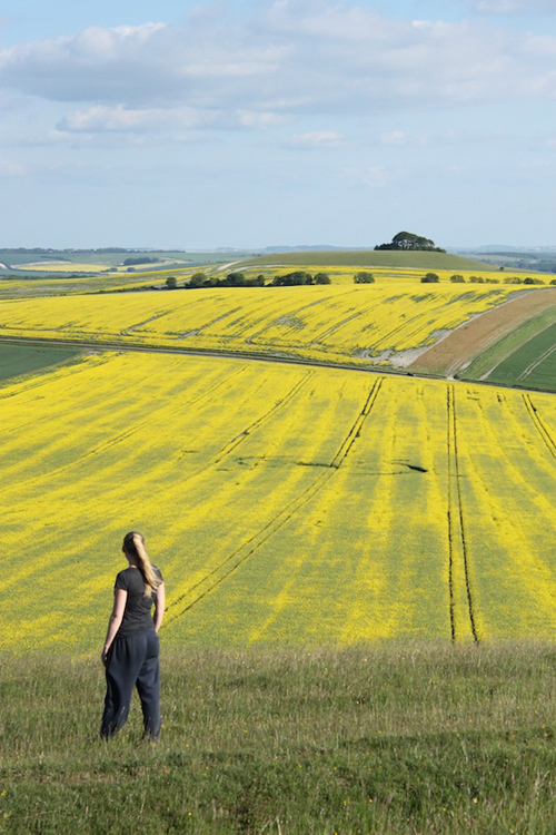 East Field, Wiltshire crop circle, aerial photo 39