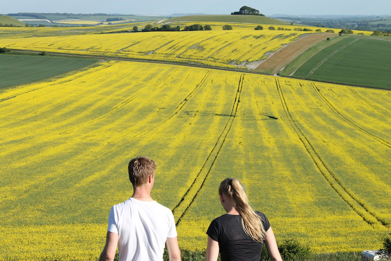 East Field, Wiltshire crop circle, aerial photo 38