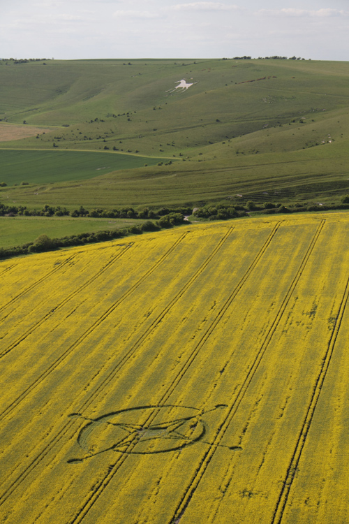 East Field, Wiltshire crop circle, aerial photo 2