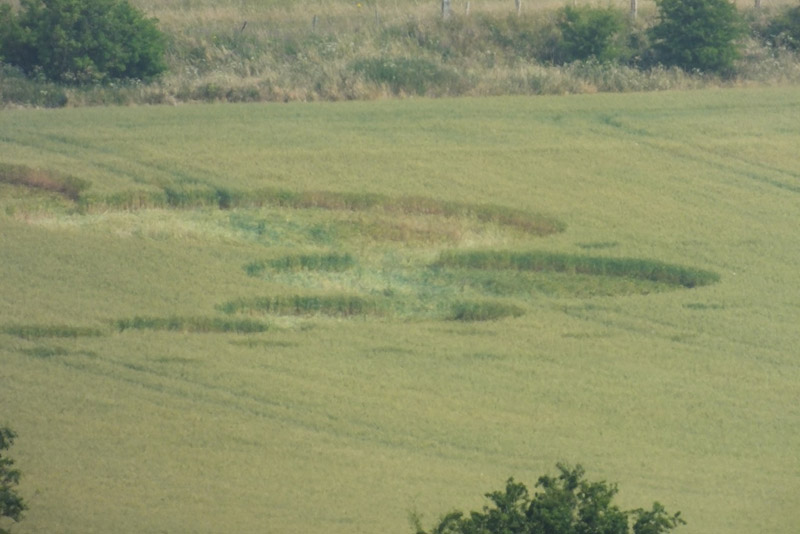 Giant's Grave, Wiltshire crop circle, aerial photo 17
