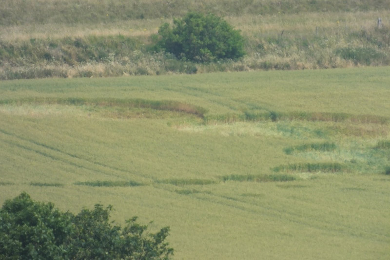 Giant's Grave, Wiltshire crop circle, aerial photo 19