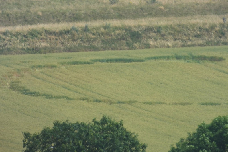 Giant's Grave, Wiltshire crop circle, aerial photo 20