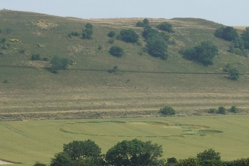 Giant's Grave, Wiltshire crop circle, aerial photo 15