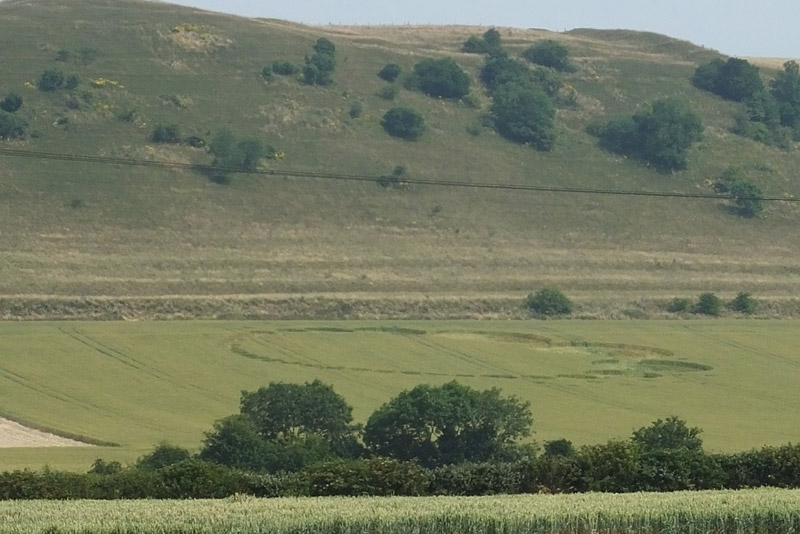 Giant's Grave, Wiltshire crop circle, aerial photo 16