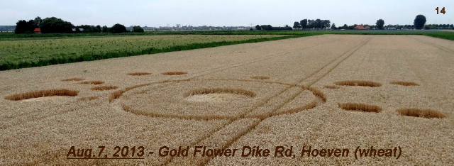 Gold Flower Dike Road, Netherlands crop circle, aerial photo 14