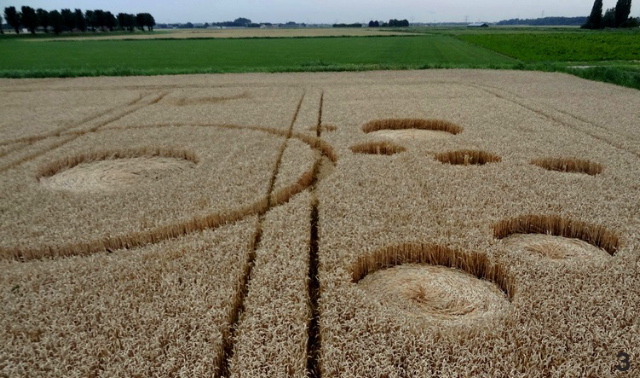 Gold Flower Dike Road, Netherlands crop circle, aerial photo 3