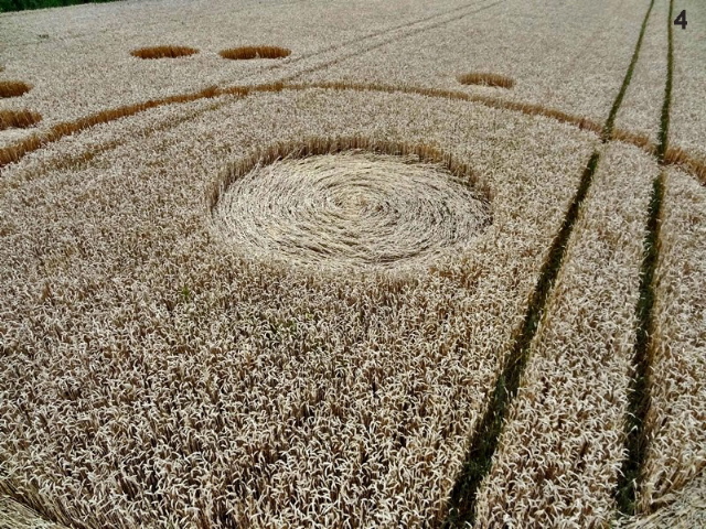 Gold Flower Dike Road, Netherlands crop circle, aerial photo 4