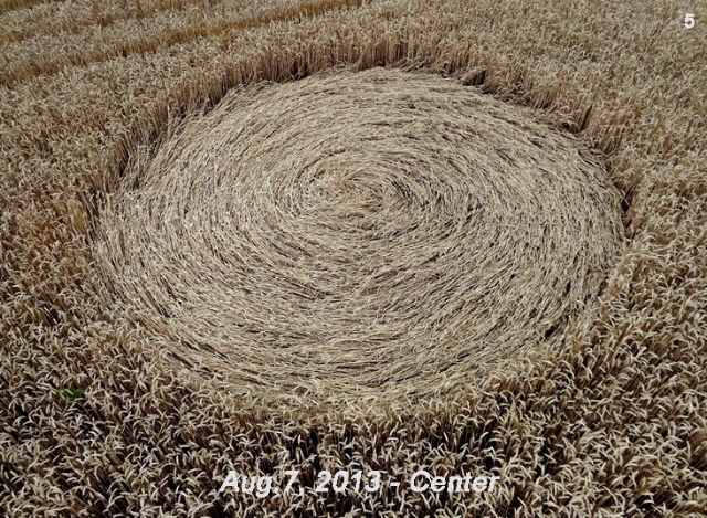 Gold Flower Dike Road, Netherlands crop circle, aerial photo 5