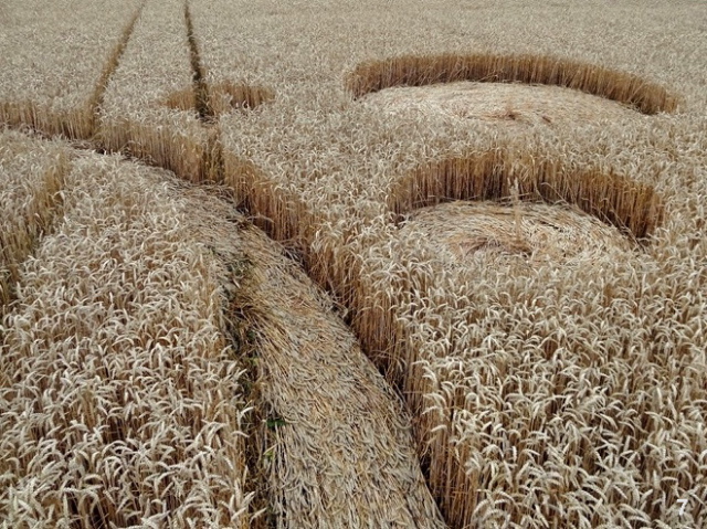 Gold Flower Dike Road, Netherlands crop circle, aerial photo 7