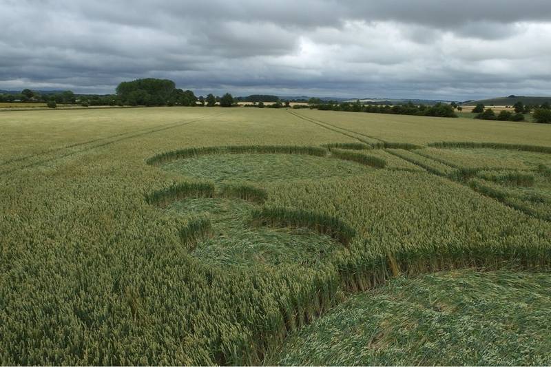Gripp Patch, Wiltshire crop circle, aerial photo 16