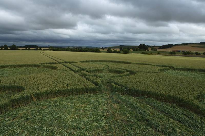 Gripp Patch, Wiltshire crop circle, aerial photo 15