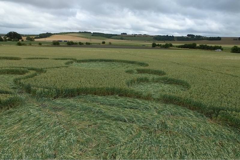 Gripp Patch, Wiltshire crop circle, aerial photo 17