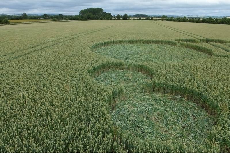 Gripp Patch, Wiltshire crop circle, aerial photo 19