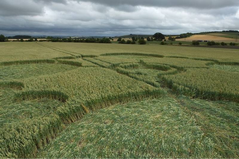 Gripp Patch, Wiltshire crop circle, aerial photo 18