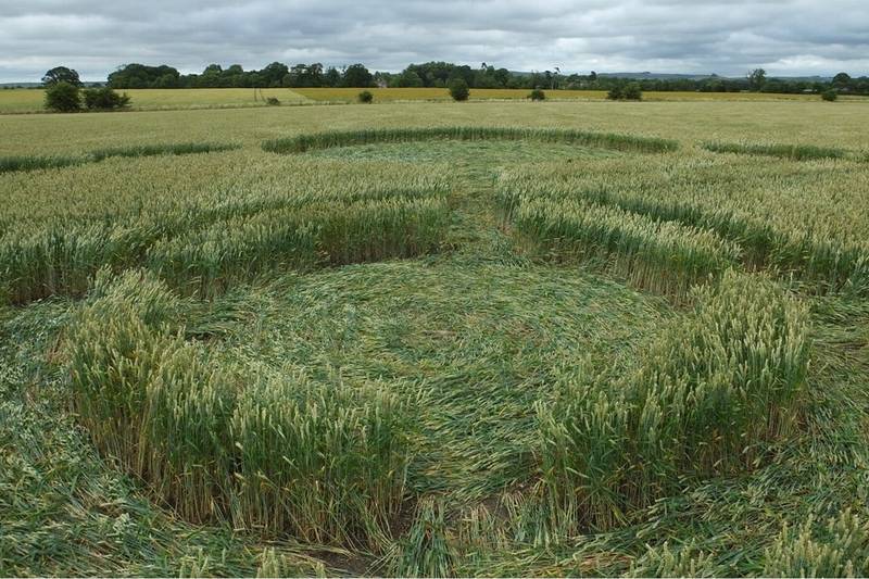 Gripp Patch, Wiltshire crop circle, aerial photo 20
