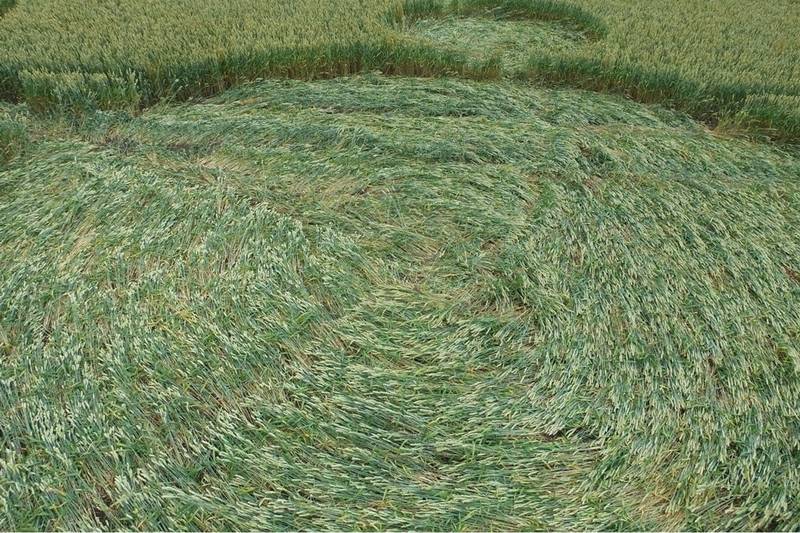 Gripp Patch, Wiltshire crop circle, aerial photo 22