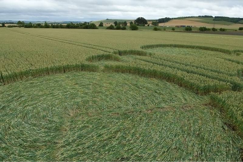 Gripp Patch, Wiltshire crop circle, aerial photo 23