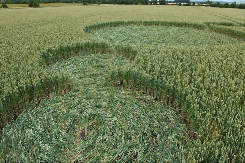 Gripp Patch, Wiltshire crop circle, aerial photo 25