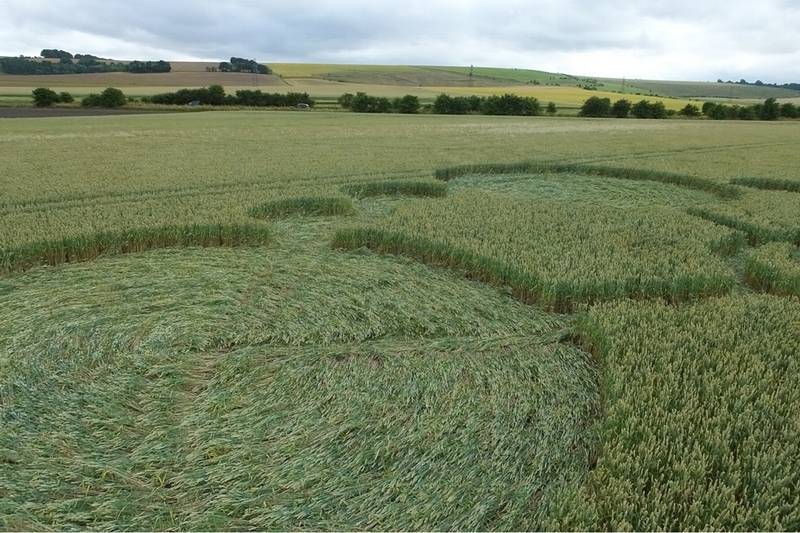 Gripp Patch, Wiltshire crop circle, aerial photo 24