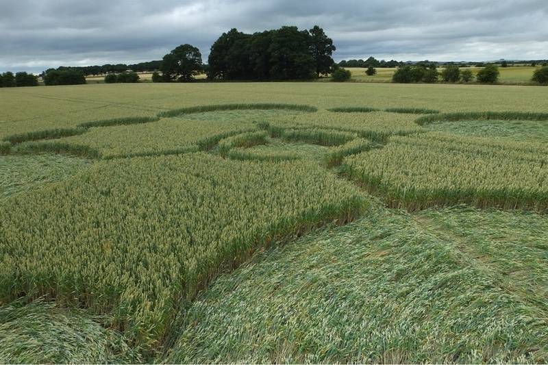 Gripp Patch, Wiltshire crop circle, aerial photo 29