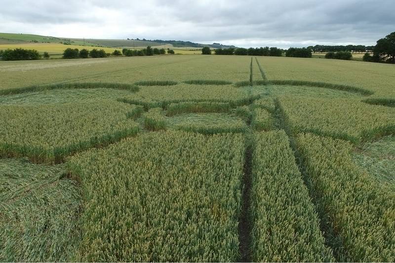 Gripp Patch, Wiltshire crop circle, aerial photo 28