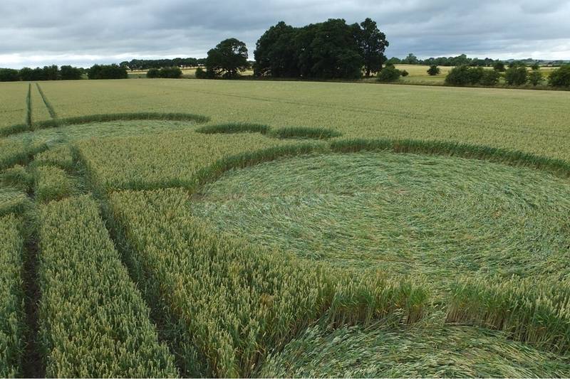 Gripp Patch, Wiltshire crop circle, aerial photo 27