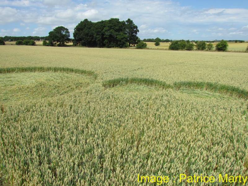 Gripp Patch, Wiltshire crop circle, aerial photo 49