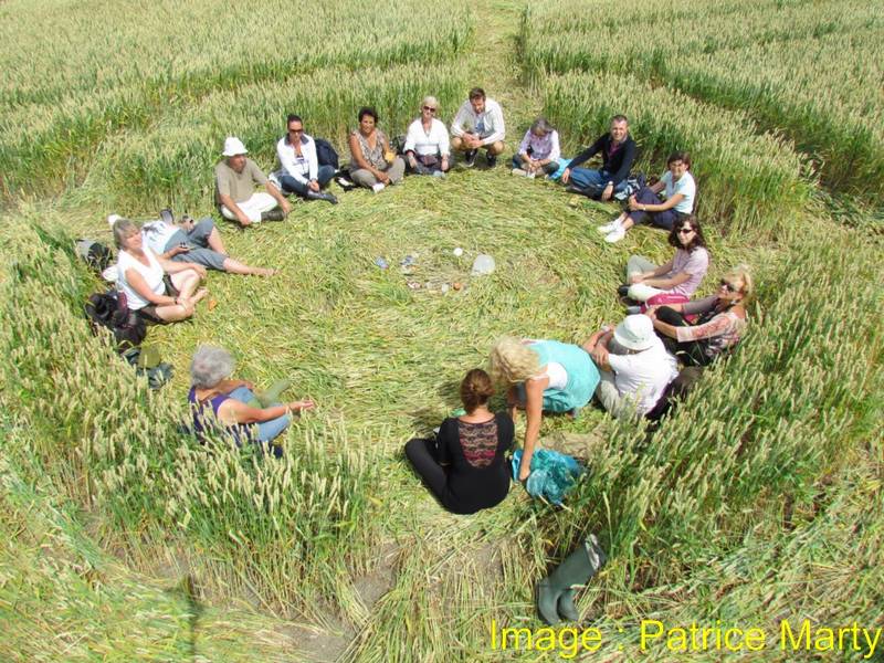 Gripp Patch, Wiltshire crop circle, aerial photo 47
