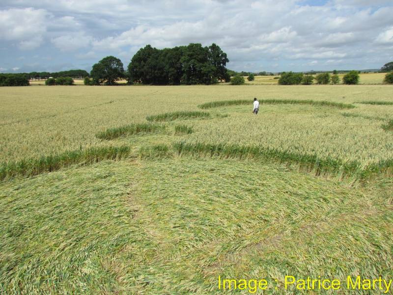 Gripp Patch, Wiltshire crop circle, aerial photo 46