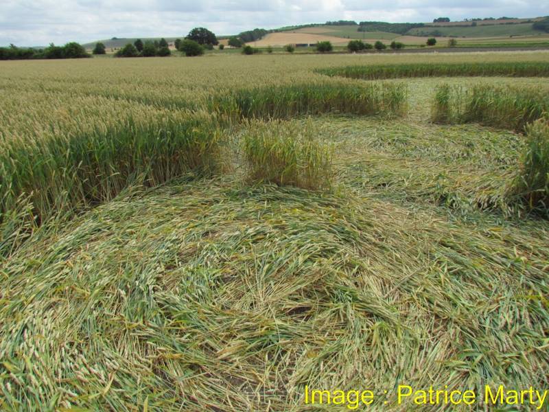 Gripp Patch, Wiltshire crop circle, aerial photo 44