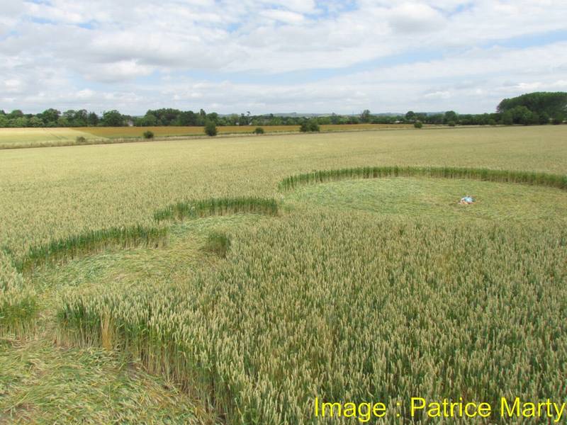 Gripp Patch, Wiltshire crop circle, aerial photo 43
