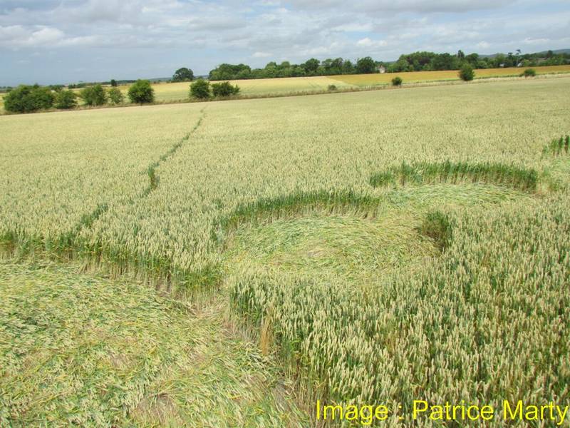 Gripp Patch, Wiltshire crop circle, aerial photo 42