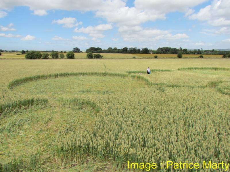 Gripp Patch, Wiltshire crop circle, aerial photo 36