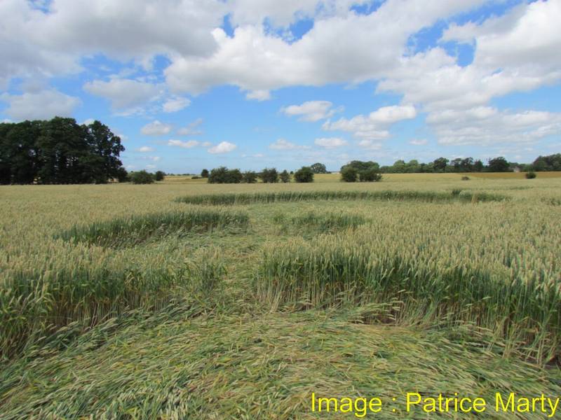 Gripp Patch, Wiltshire crop circle, aerial photo 35