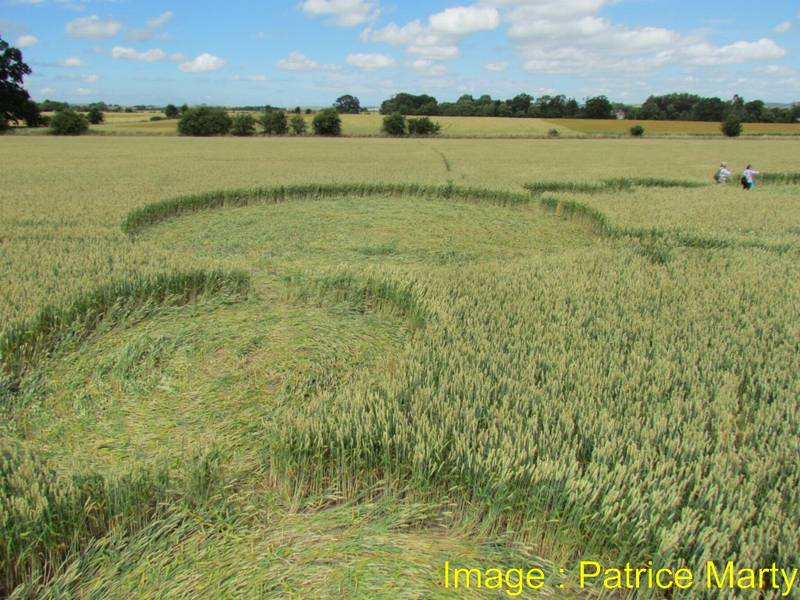 Gripp Patch, Wiltshire crop circle, aerial photo 34